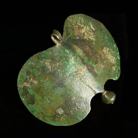 055_-_cuirasse_de_poi_5e9c3.jpg